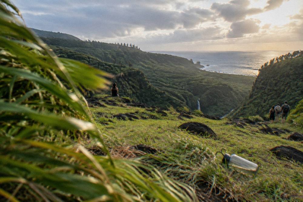 Coastal valley overlook with ocean horizon beyond green cliffs