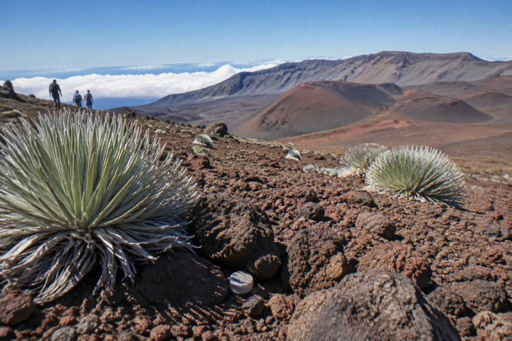 A wide crater floor of dark lava and scattered cinder cones under a clear sky