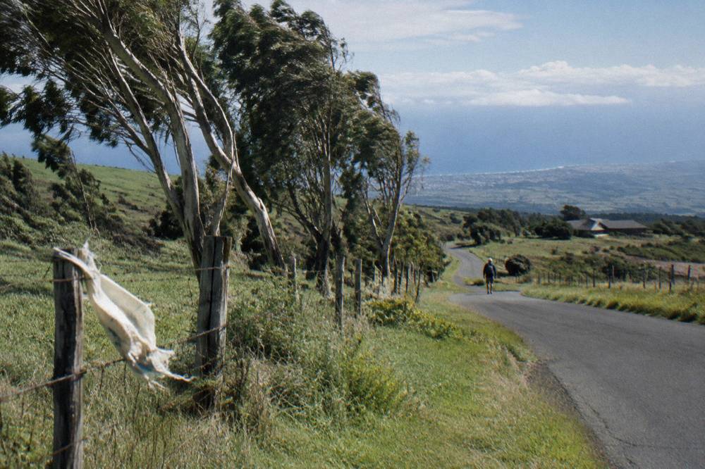 The long paved descent road winding through green upland ranch land toward the Maui coast