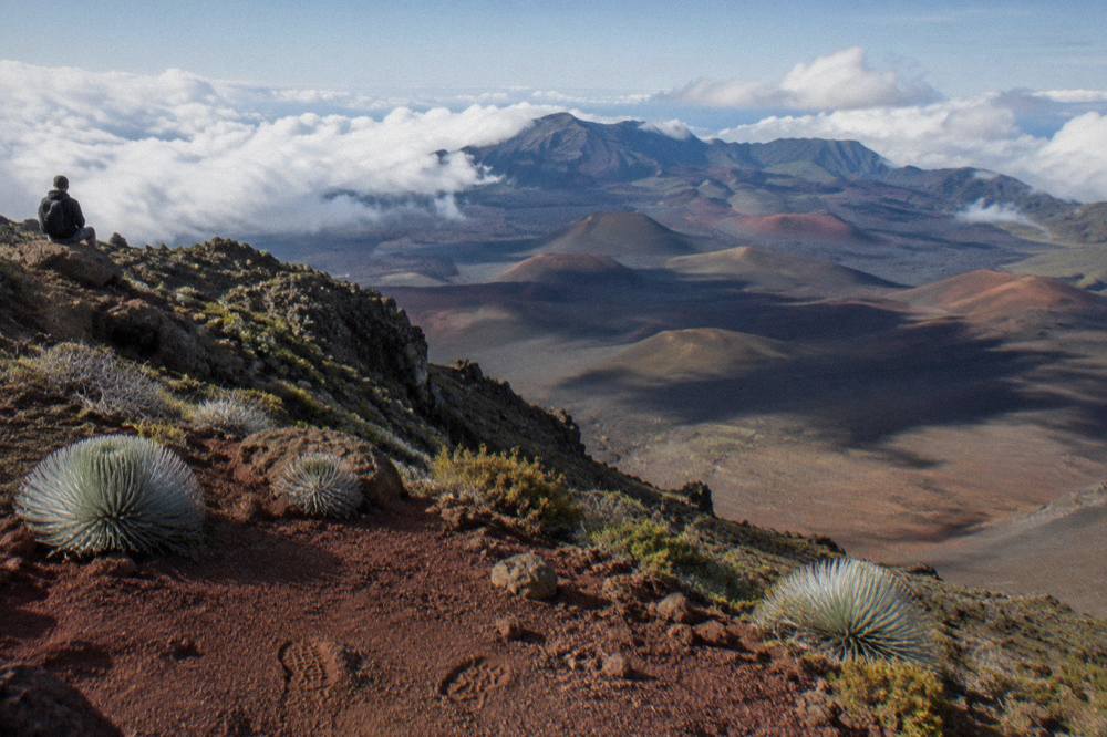 Cinder cones and layered ash slopes inside the Haleakala crater seen from the rim