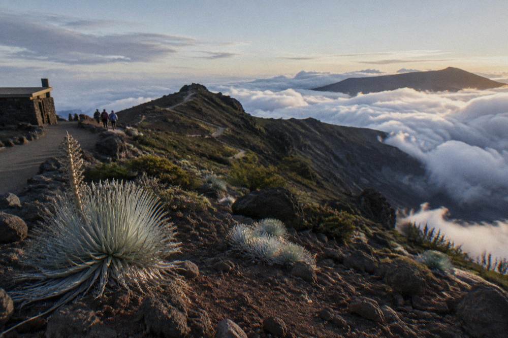 Low clouds filling the crater below a clear summit ridge in late afternoon light