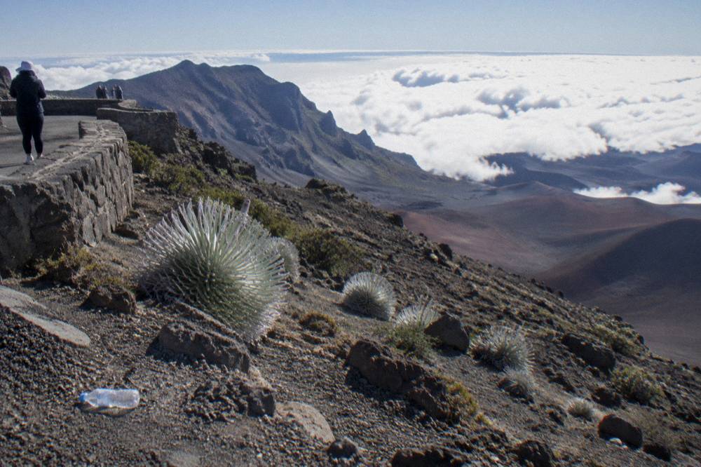 Clouds filling the crater below the summit overlooks in morning light