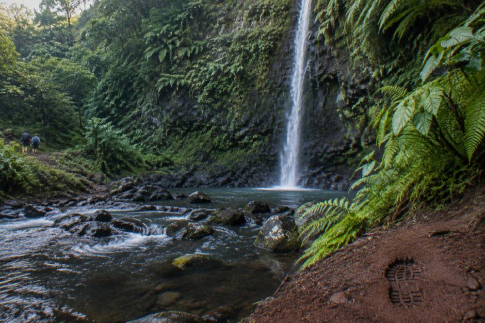 A tall thin waterfall falling down a dark cliff surrounded by dense green forest