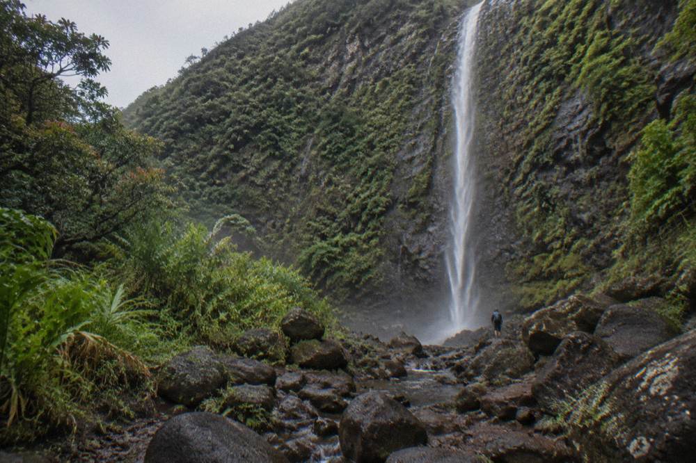 A waterfall dropping down a sheer green cliff face in a rainforest valley