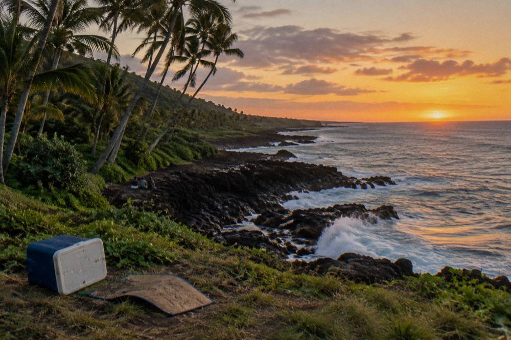 A coastal overlook with black lava shoreline and palm trees near Hana